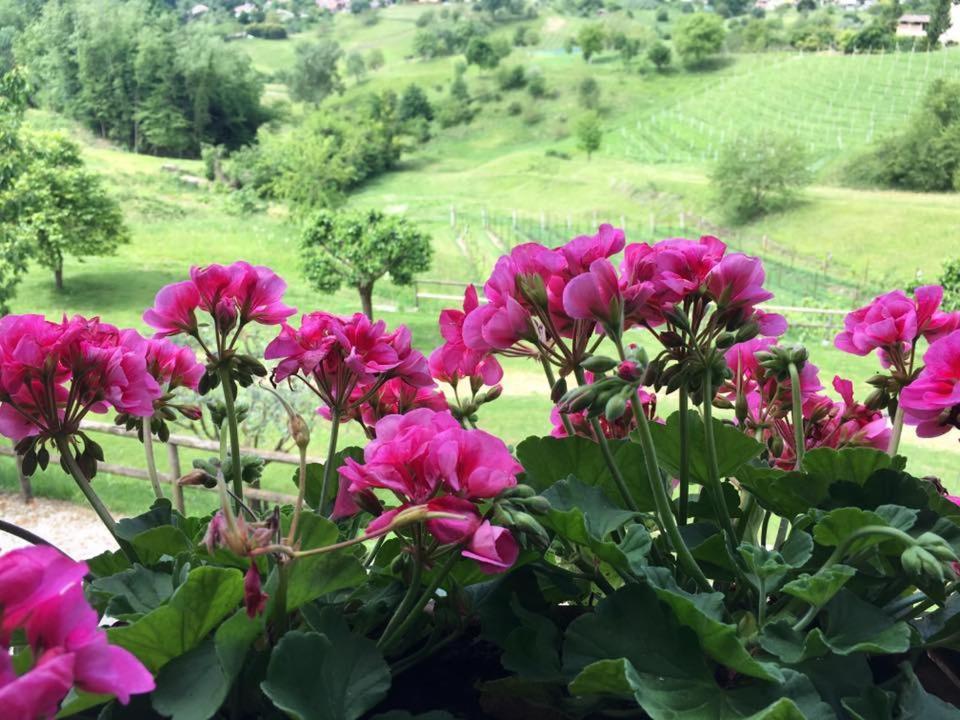 Agriturismo Al Capitello Βίλα Asolo Εξωτερικό φωτογραφία