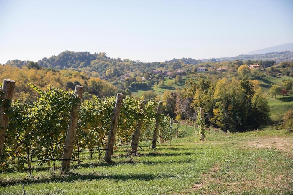 Agriturismo Al Capitello Βίλα Asolo Εξωτερικό φωτογραφία